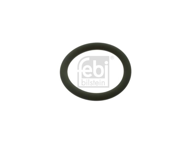 ENJEKTÖR POMPA O RİNGİ LKW DAF