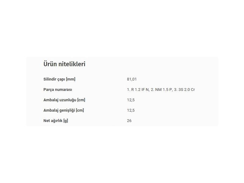 SEGMAN SETİ 81,01MM VAG A3 A4 BO1 GO3-4 PO3 PAS 94-04