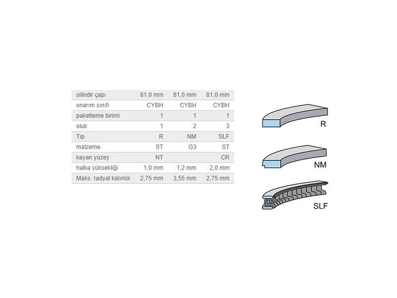SEGMAN SETİ 81,01MM VAG A3 A4 BO1 CAD3-4 GO4-5-6 PAS 00-