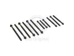 CİVATA TKM 12li PKT BMW N43 45 46 04-