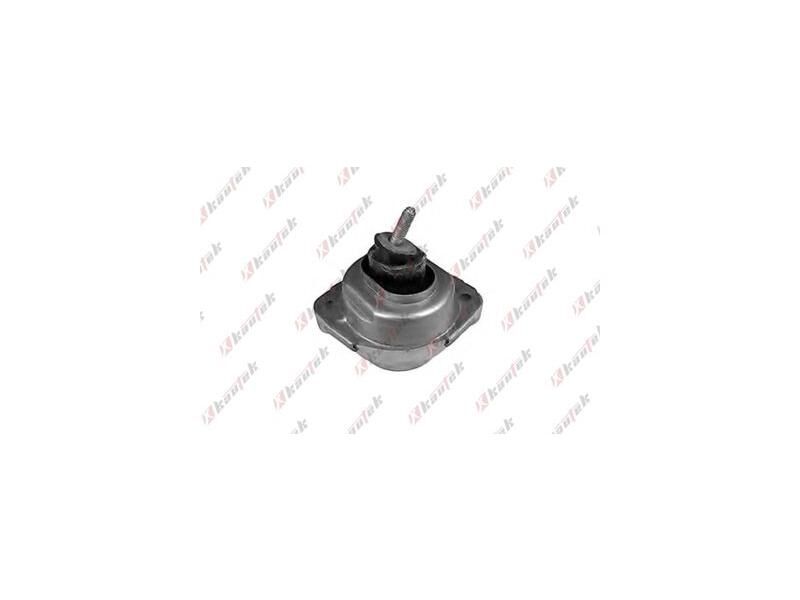 MOTOR KULAĞI SAĞ BMW E83 04-12