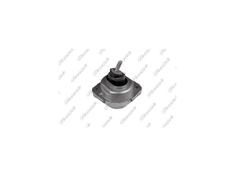 MOTOR KULAĞI SAĞ BMW E83 04-12