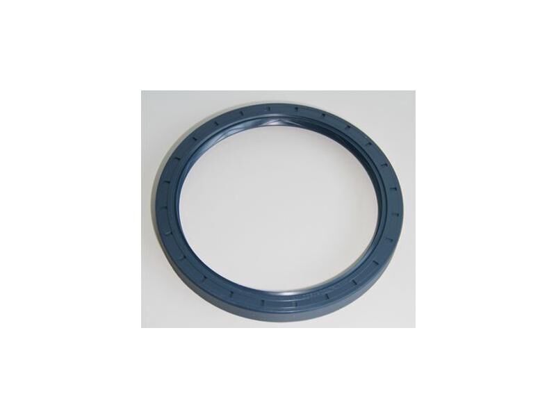 PORYA KEÇESİ LKW SCANİA