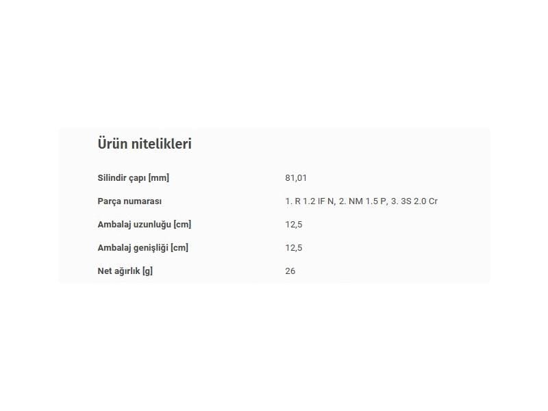 SEGMAN SETİ 81,01MM VAG A3 A4  BO1 GO3-4 PO3 PAS 94-04