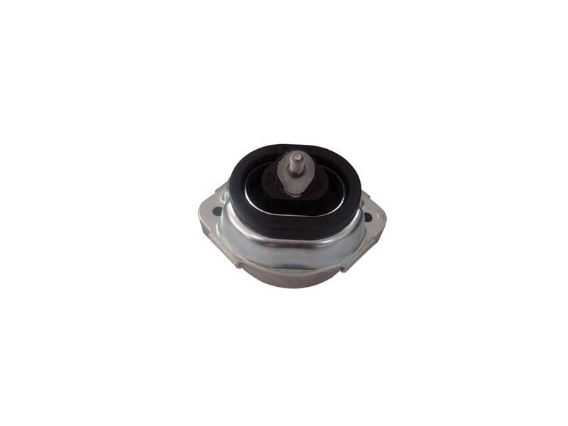 MOTOR KULAĞI BMW E46 53 00-07