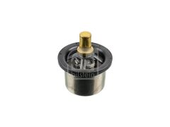 TERMOSTAT 86° LKW MAN TGX